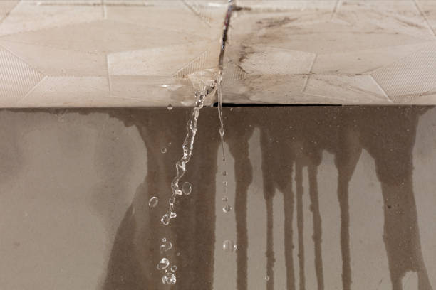 Professional Flood Damage Cleanup technician working in Cache Junction, UT